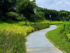 -风云岭森林公园