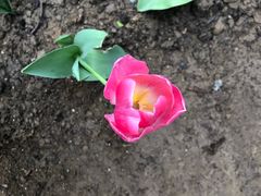 -南通洲际绿博园