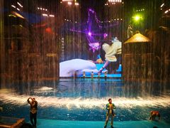 -芜湖新华联大白鲸海洋公园