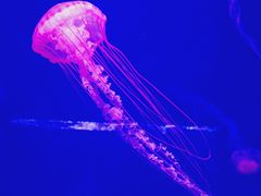 -波塞冬旅游度假区