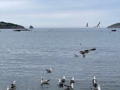 -银沙滩浴场