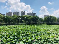 -北山公园