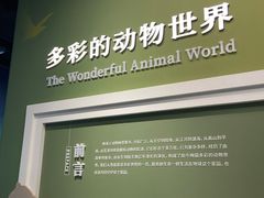 -国家自然博物馆