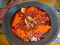 -阳阳老火锅(小南门店)