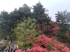 -木兰云雾山