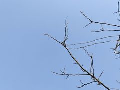 -游子山休闲旅游区