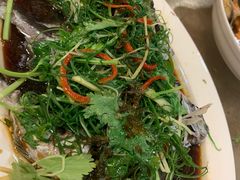 清蒸泥鯭-揭阳钟记小食(福田新村店)