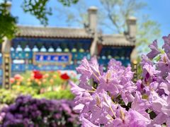 -蓬莱阁景区