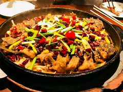 -老板恋上鱼(荣盛广场店)