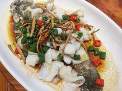 -顺德了能馆(虎门店)