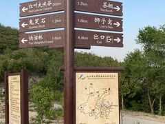 -鬼笑石后山停车场