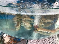 -海之味海鲜大咖·家常菜