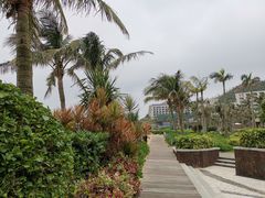 -东澳岛