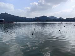 -顺峰山公园
