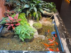 -隐炉和牛烧肉店(群力店)