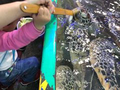 -鸿通城购物中心