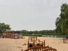 -大兴滨河森林公园