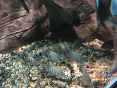-苏州海洋馆