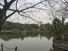 -鱼凫国都大酒店温泉