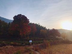 -塔川景区