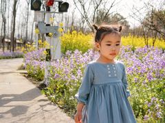 -合肥滨湖国家森林公园