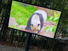 -圣地亚哥动物园