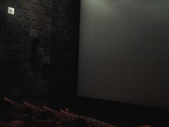 -成都百丽宫影城(LUXE太古里店)