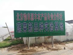 -庞各庄西瓜蔬菜采摘园·锦华瓜园