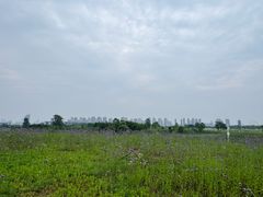 -洋湖国家湿地公园