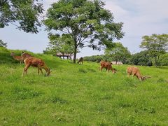-良渚古城遗址公园