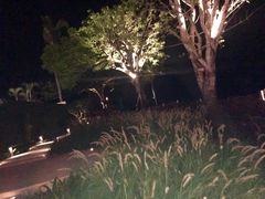 -Rock Bar Bali(Bali)