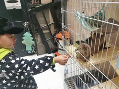 -猫色咖啡·猫咖