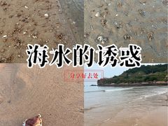 -大京沙滩