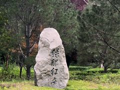 -百脉泉景区