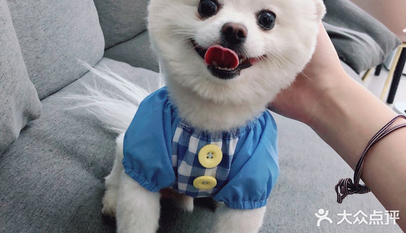 带帽子的小可爱