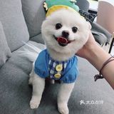 带帽子的小可爱