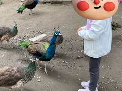 -成都欢乐谷
