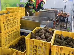 -召稼楼永茂昌粽子大王