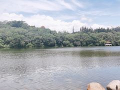 -深圳市中科院仙湖植物园