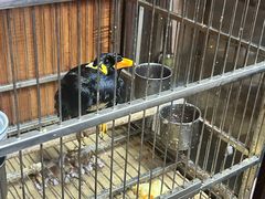 -香港久记牛腩云吞面(友好广场店)