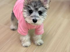 -派特宠物医院(圆融广场店)