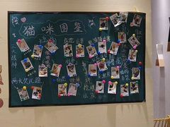 -藏猫猫咖啡主题馆(中央大道店)