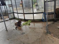 -水绘园