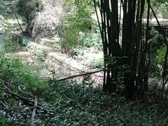 -凤栖山