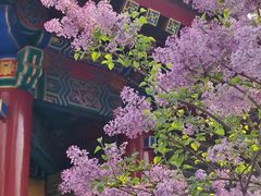 -西安市广仁寺