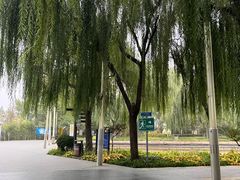 -廊坊文化艺术中心