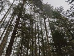 -海螺沟风景区