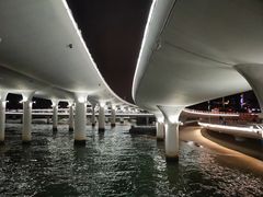 -演武大桥观景平台