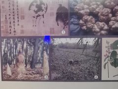 -湖州博物馆