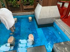 -固安来康郡来康温泉